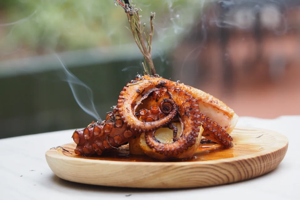 Pulpo en el jardi del ateneu